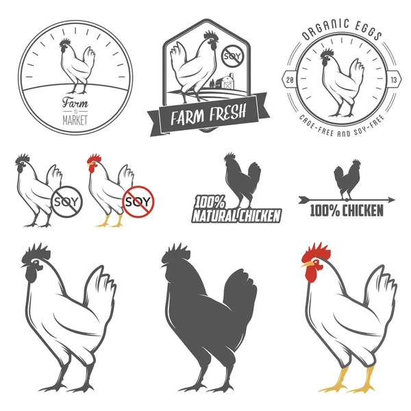 Ensemble d'étiquettes de viande de poulet et d'éléments de design — Image vectorielle