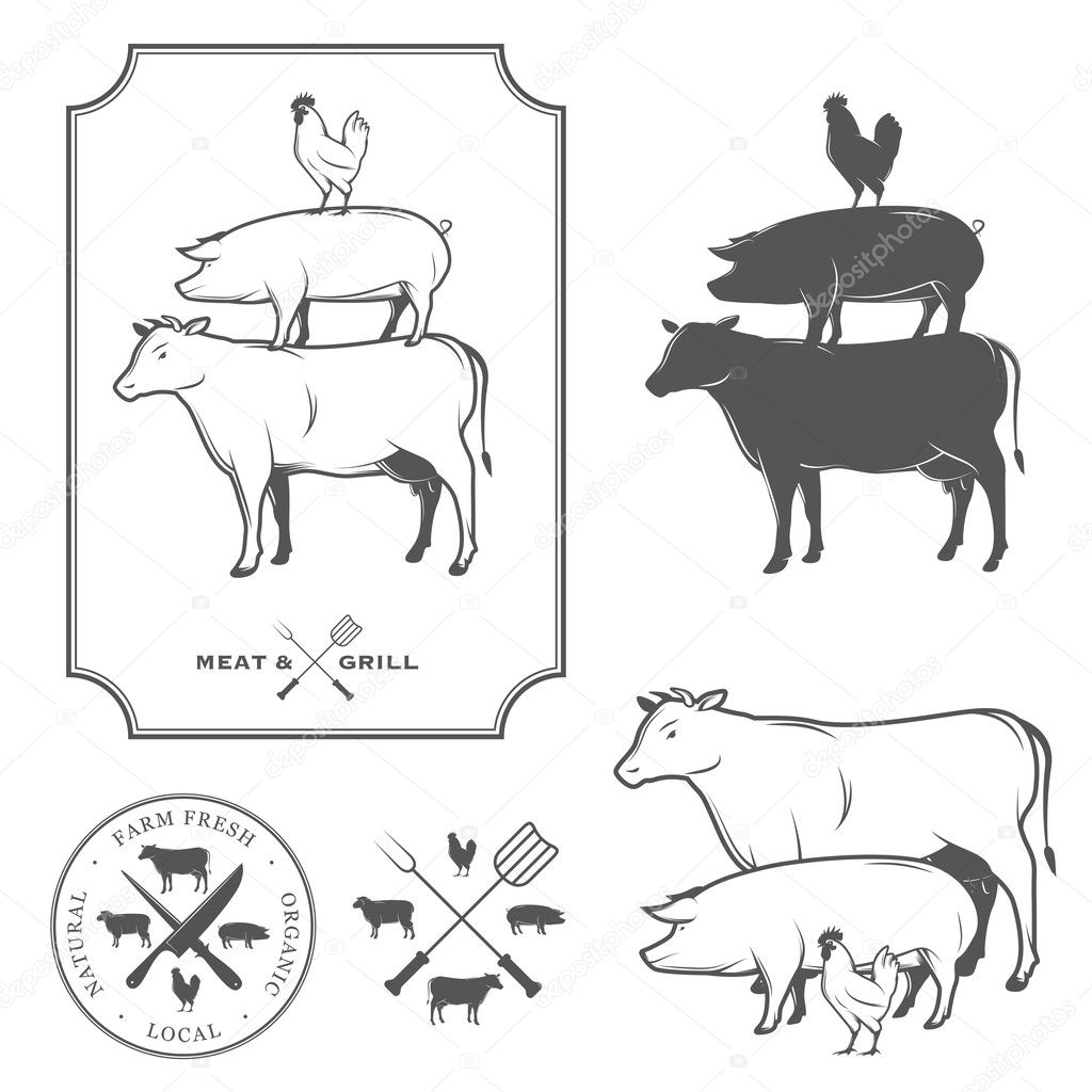 Restaurant grill and barbecue menu design elements