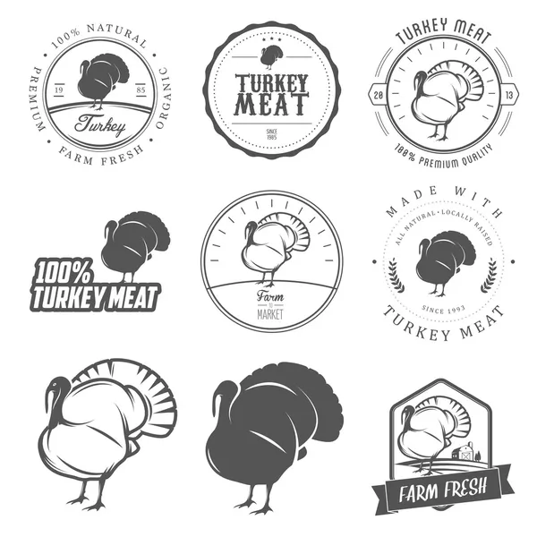 Conjunto de rótulos e selos de carne de peru premium — Vetor de Stock