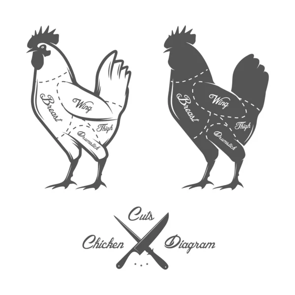 Diagramme de découpes de poulet — Image vectorielle