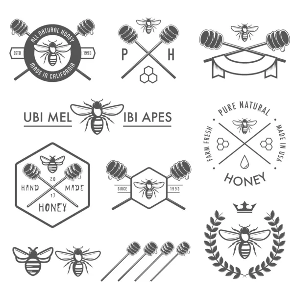 Conjunto de etiquetas de miel, insignias y elementos de diseño — Vector de stock