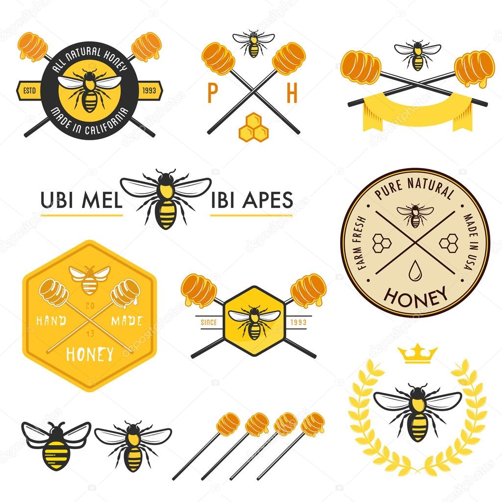 Set of honey design elements