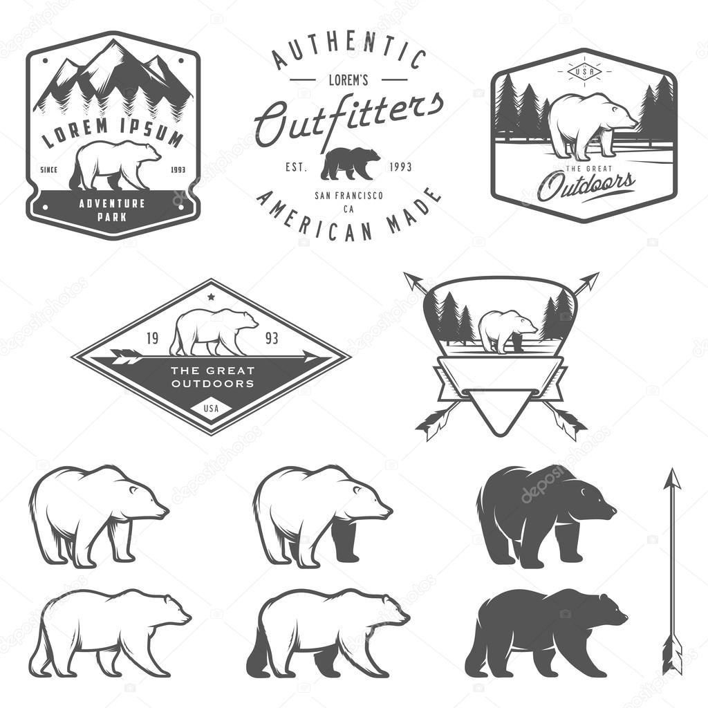 Set of bear icons, emblems and labels