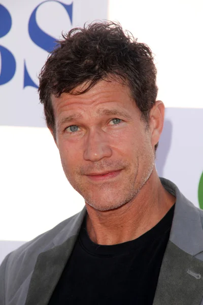 Dylan Walsh. —  Fotos de Stock