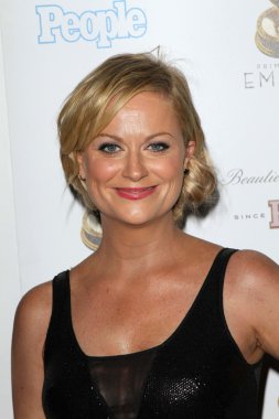 Amy Poehler