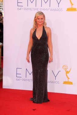 Amy Poehler