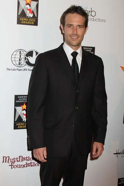 Michael Vartan at the American Humane Association Hero Dog Awards, Beverly Hilton, Beverly Hills, CA 10-06-12 — Stock Photo, Image