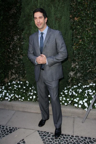 David Schwimmer al Rape Treatment Center Fundraiser organizzato da Viola Davis e in onore di Norman Lear, Greenacres, Neberly Hills, CA 10-14-12 — Foto Stock