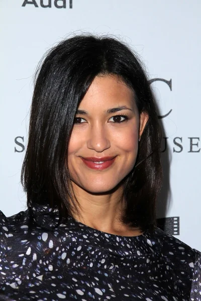 Julia Jones at Reel Stories Real Lives presented by The Motion Picture and Television Fund, Milk Studios, Los Angeles, CA 10-20-12 — Stock Photo, Image