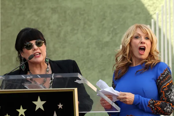 Ann Wilson Skachat Kartinki Stokovye Foto Ann Wilson V Horoshem Kachestve Depositphotos