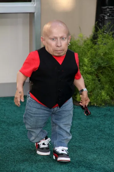 Verne Troyer — Stock Fotó