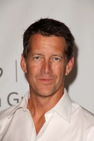 James Denton at the Disney ABC Summer Press Tour, Beverly Hilton, Beverly — Stockfoto