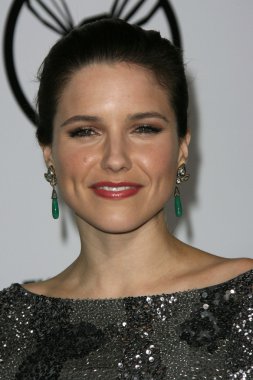 Sophia bush