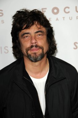 Benecio Del Toro