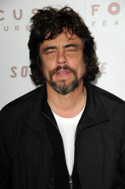Benicio Del Toro