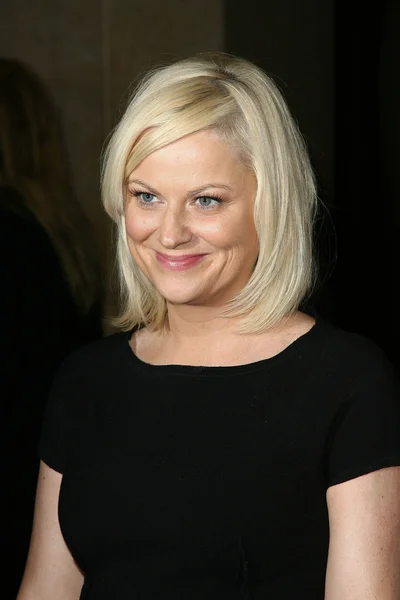 Amy Poehler — Stock fotografie