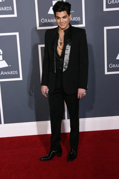 Adam Lambert en los Premios Grammy Anuales 53, Staples Center, Los Angeles, CA. 02-13-11 — Foto de Stock