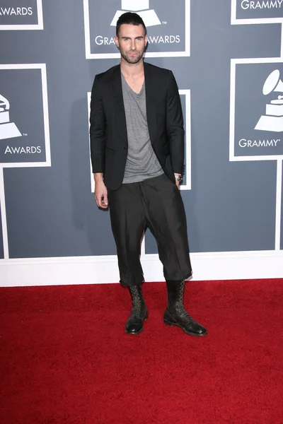 Adam Levine at the 53rd Annual Grammy Awards, Staples Center, Los Angeles, CA. 02-13-11 — Stock Photo, Image