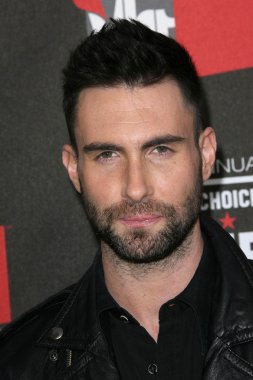 adam levine, 16 yıllık eleştirmenlerin seçimi Film Ödülleri gelenler, hollywood Paladyum, hollywood, ca. 01-14-11