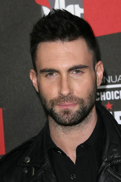 Adam Levine at the 16th Annual Critics Choice Movie Awards Arrivals, Hollywood Palladium, Hollywood, CA. 01-14-11 — Stock Photo, Image