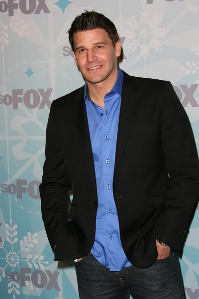 David Boreanaz — Stockfoto