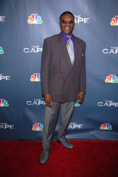 Keith David at the premiere party for NBCs The Cape at tMusic Box Theater, Hollywood, CA. 01-04-11 — Stock Photo, Image
