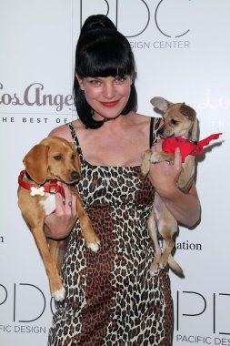 Pauley Perrette
