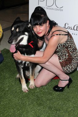 Pauley Perrette