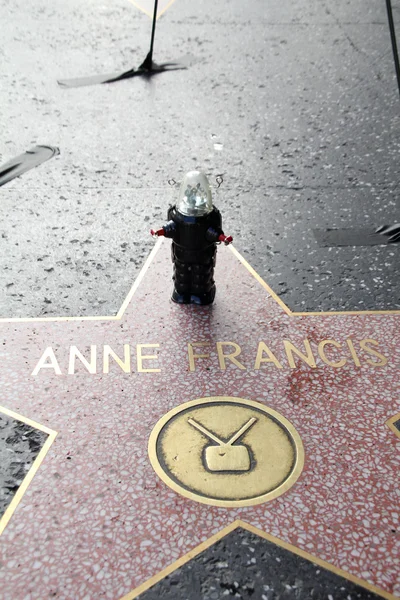 Anne francis yıldız — Stok fotoğraf