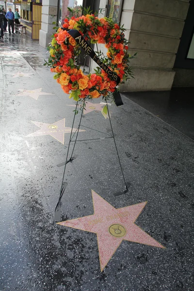 Anne Francis Star — Stock Photo, Image