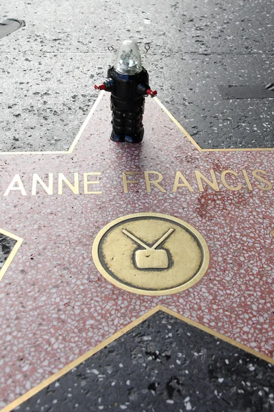 Anne francis yıldız — Stok fotoğraf