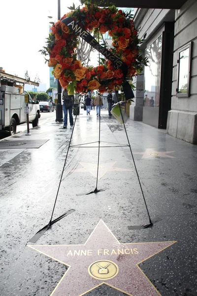 Anne Francis Star — Stock Photo, Image