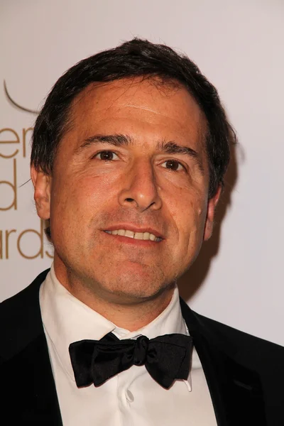 David O. Russell at the 2011 Writers Guild Awards, Renaissance Hotel, Holl — Stock Photo, Image