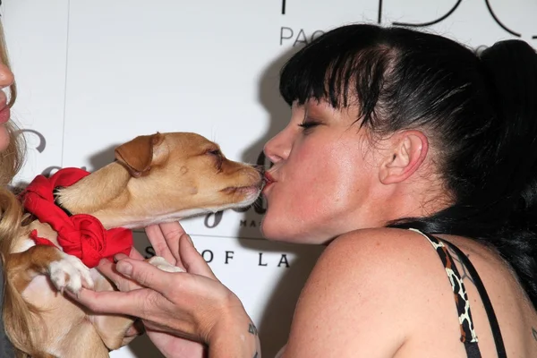 Pauley Perrette — Fotografia de Stock