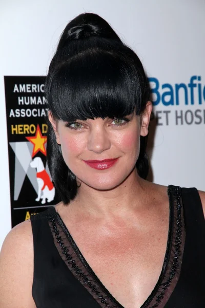 Pauley Perrette — Foto de Stock