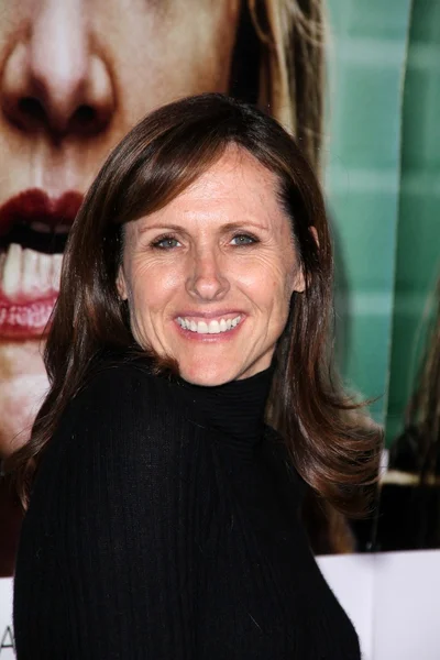 Molly Shannon bij de HBO-première van "verlicht," Paramount theater, hol — Stockfoto