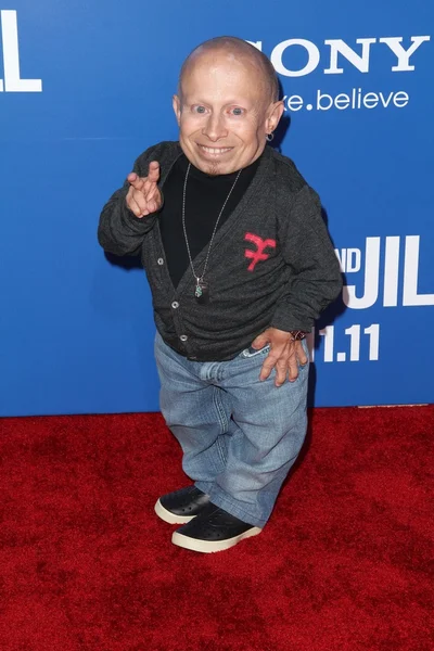 Verne Troyer no "Jack and Jill" World Premiere, Village Theater, Westwood — Fotografia de Stock