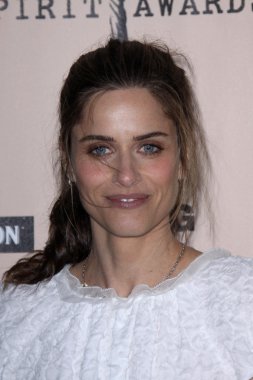 Amanda Peet