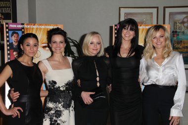 Emmanuelle Chriqui, Carla Gugino, Marley Shelton, Adrianne Palicki, Malin Akerman