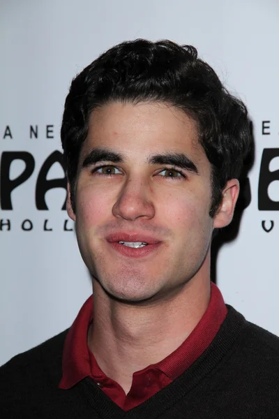 Darren Criss at the AVENUE Q Los Angeles Return, Pantages, Hollywood, CA. 03-01-11 — Stock Photo, Image