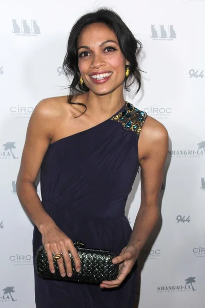 Rosario Dawson — Photo