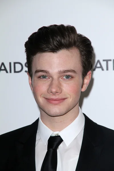 Chris Colfer en el 19º Elton John Aids Foundation Academy Awards Viewing Party, Pacific Design Center, West Hollywood, CA. 02-27-11 — Foto de Stock