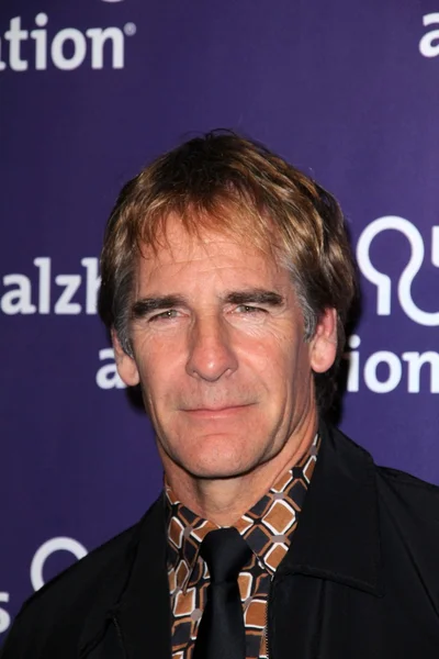 Scott Bakula — Stockfoto