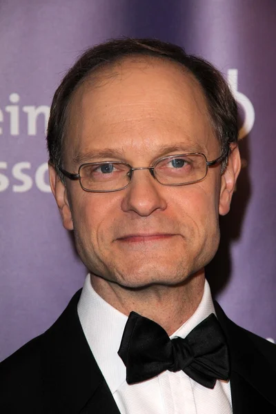 David Hyde Pierce at the 19th Annual "A Night At Sardi 's" Fundraiser and Awards Dinner Benefiting The Alzheimer' s Association, Beverly Hilton Hotel, Beverly Hills, CA. 03-16-11 — стоковое фото