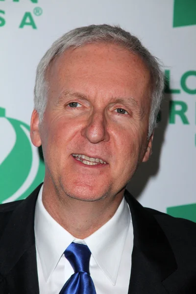 James Cameron at Global Green USA 's 8th Annual Pre-Oscar Party, Avalon, Hollywood, CA. 02-23-11 — стоковое фото