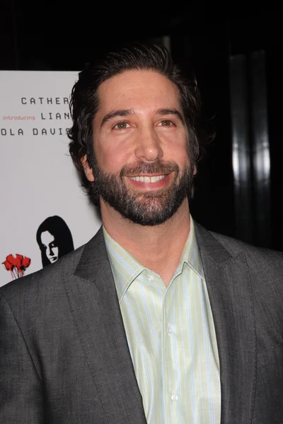 David Schwimmer at the "Trust" Los Angeles Special Screening, DGA, West Hollywood, CA. 03-21-11 — Stock Photo, Image