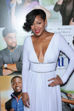 Pan-Afrika Film Festivali'nde Meagan İyi 