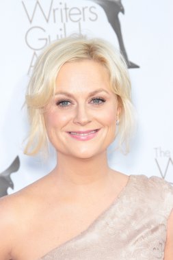 Amy Poehler