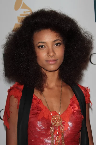 Esperanza Spalding at the Clive Davis And The Recording Academy's 2012 Pre-GRAMMY Gala, Beverly Hilton Hotel, Beverly Hills, CA 02-11-12 — Stock Photo, Image