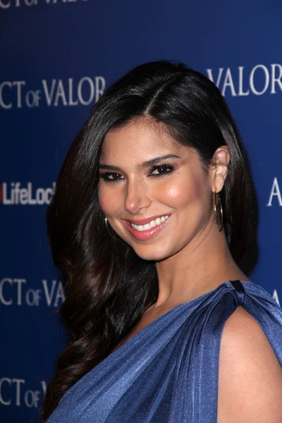 Roselyn Sanchez — Stock Photo, Image